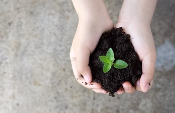 Holding Plant